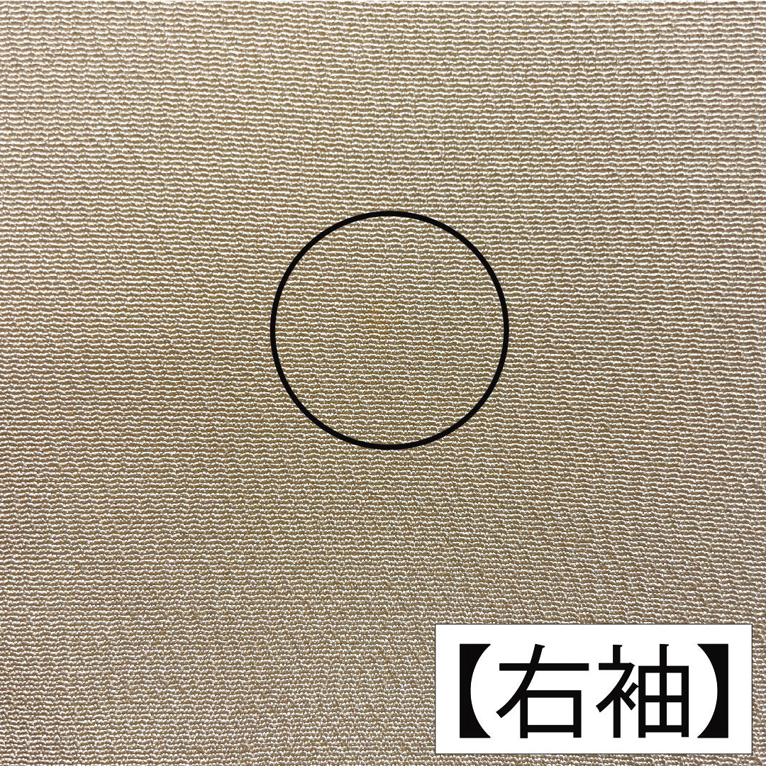 訪問着 正絹 袷 身丈161.5cm 裄丈66.5cm 肌色(はだいろ) 相良刺繡 扇子 鶴 一つ紋 上り藤に大の字 Aランク 橙系 1112005563426