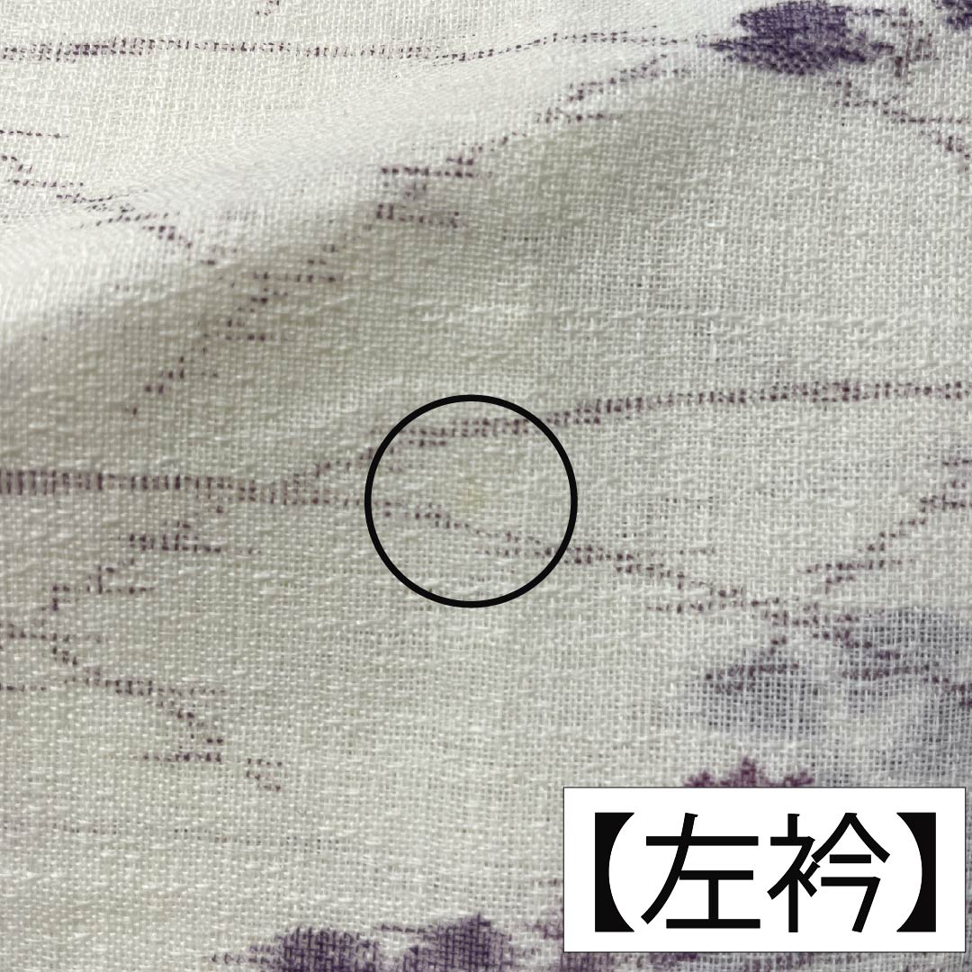 夏物 麻 紬 身丈165cm 裄丈69cm 乳白色(にゅうはくしょく) 小千谷縮 草花模様 紗 Aランク 白系 1132002683511