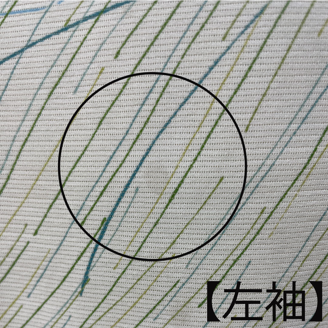夏物 正絹 小紋 身丈158.5cm 裄丈62.5cm 乳白色(にゅうはくしょく) 抽象模様 絽 Aランク クリーム系 1132000753315