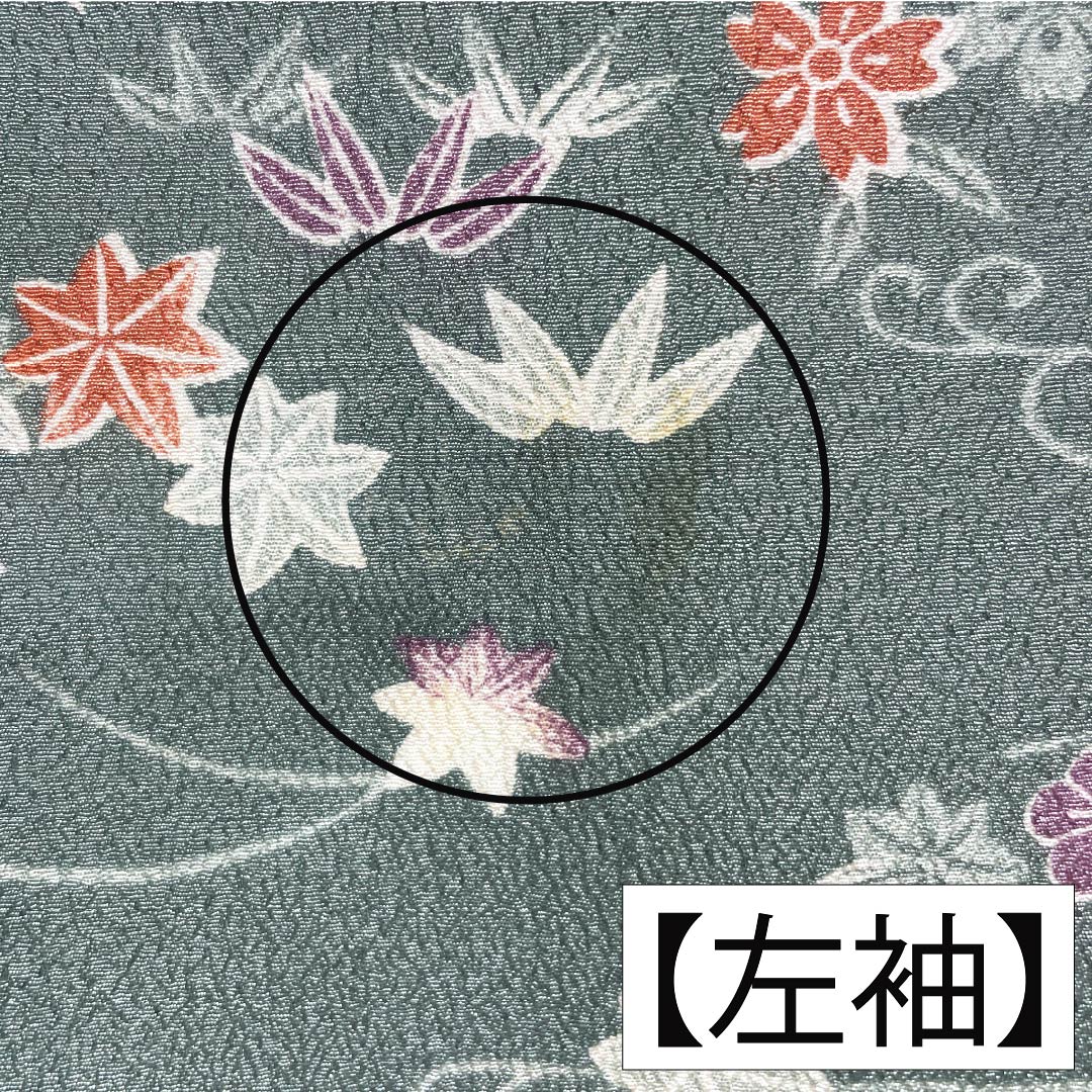 小紋 ポリエステル 身丈158.5cm 裄丈63cm 袷 山藍摺色(やまあいずりいろ) 洗える着物 草木模様 Aランク 緑系 1115005143319