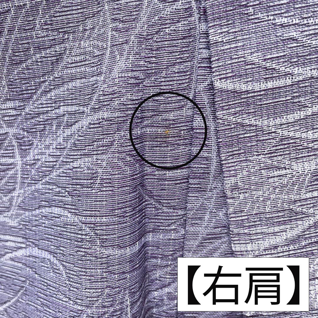 夏物 ポリエステル お召 Aランク 身丈158.5cm 裄丈63.5cm 二藍色(ふたあいいろ) ススキ 紗 紫系 1132004813320