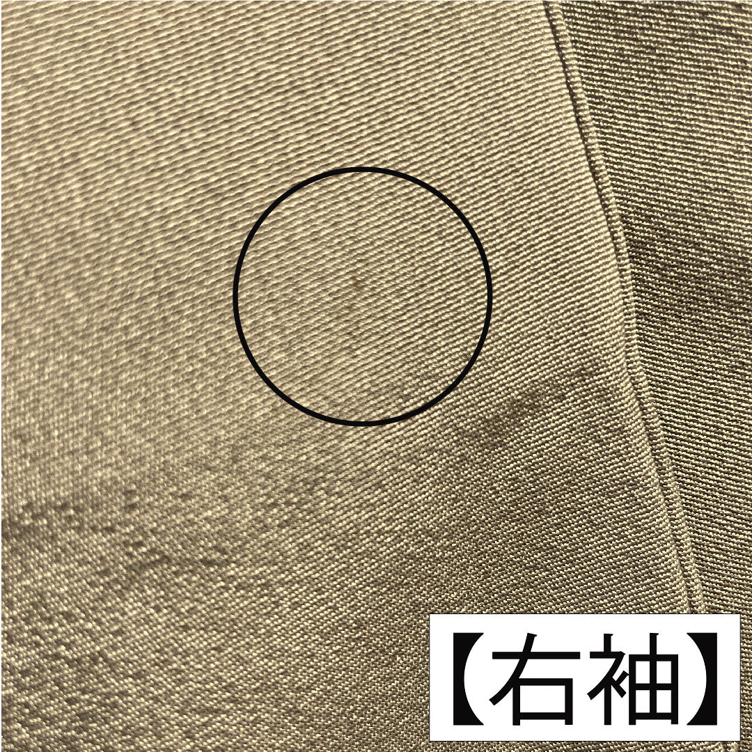 色留袖 正絹 身丈161cm 裄丈66cm 袷 壁鼠色(かべねずいろ) 京加賀友禅 比翼仕立て 風景模様 三つ紋 蔦 Aランク 茶系 1111001403414