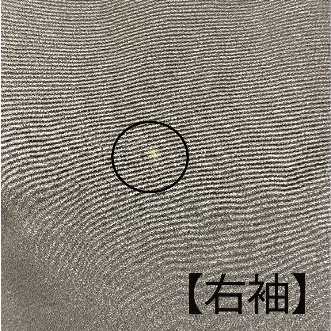 Black Tomesode, Length 155.5cm, Sleeve Length 61.5cm, Awase, Kyo-Yuzen, Crane, Katabami, Pure Silk, B Rank, Five Crests, Black, 1111000344310
