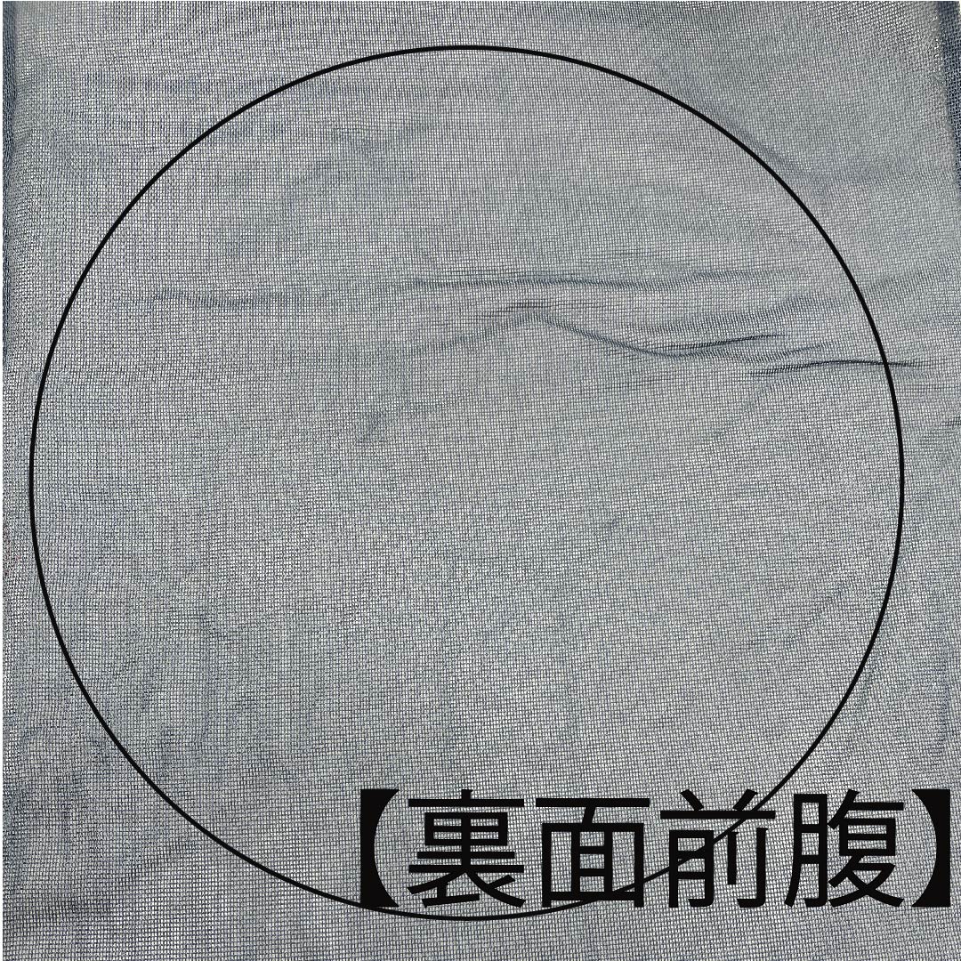 袋帯 沈香茶色(とのちゃいろ) 露芝 帯丈430cm 正絹 Aランク 六通 セミフォーマル 青系 1123006583317
