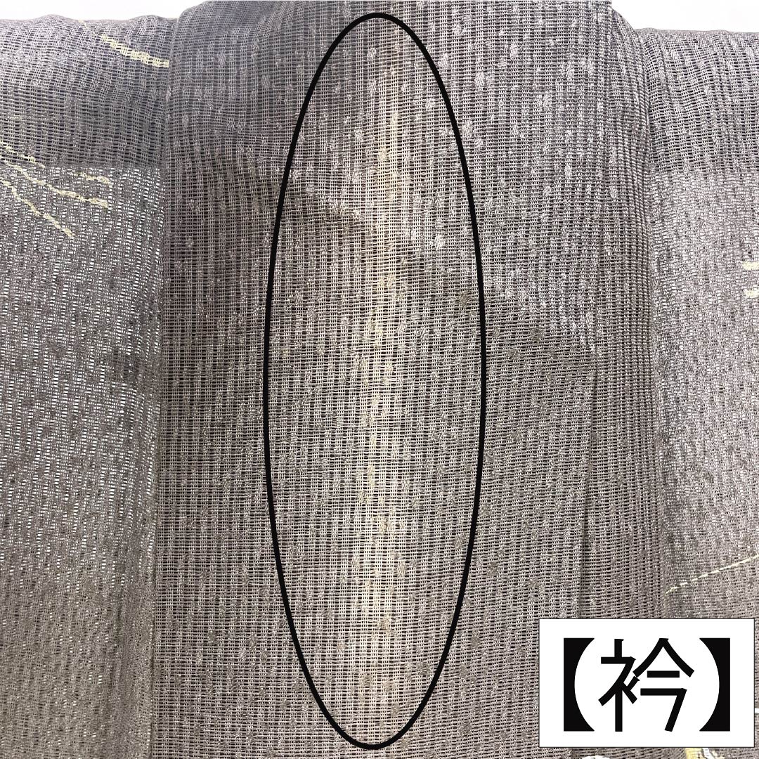 夏物 正絹 訪問着 Bランク 身丈165.5cm 裄丈65cm 都鼠色(みやこねずいろ) 京友禅 タタキ染 秋草 絽 茶系 1132005104514