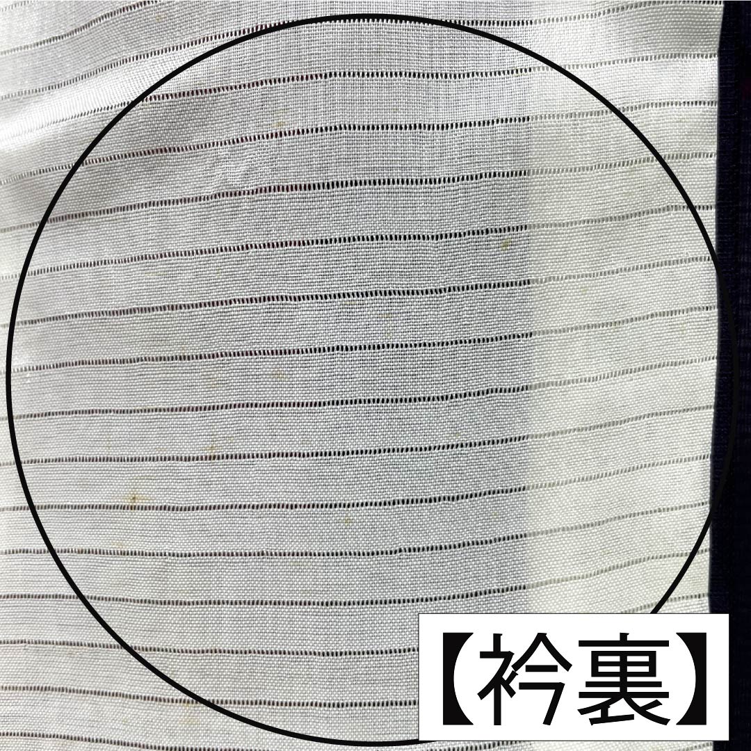 夏物 正絹 お召 Aランク 身丈151cm 裄丈64cm 紫黒色(しこくしょく) 草花模様 紗 紫系 1132004663220