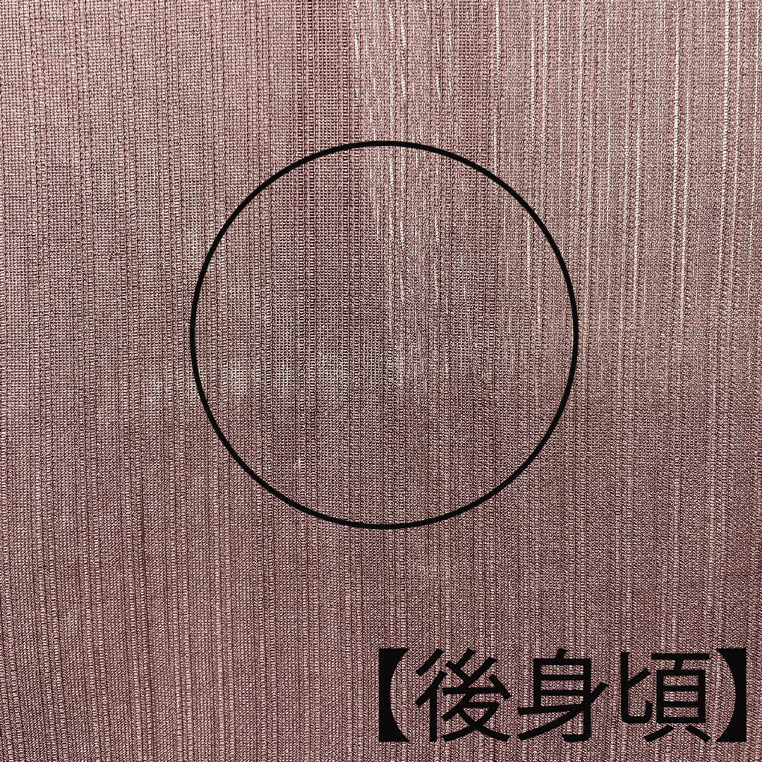 夏物 正絹 色無地 身丈160cm 裄丈60cm 紫土色(しどいろ) 竪絽(たてろ) 絽 Aランク 紫系 1132001093420