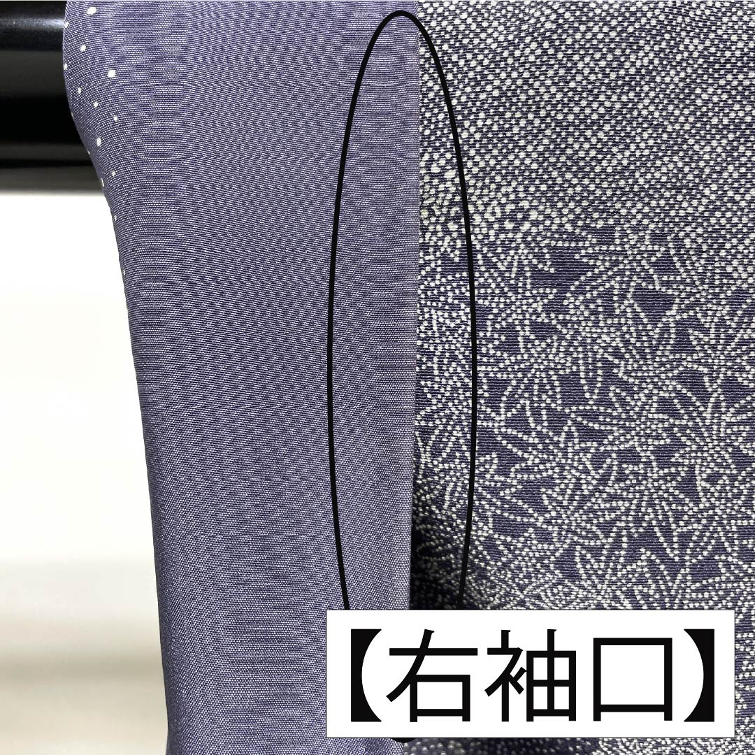 Visiting Kimono, Pure Silk, A-Rank, Lined, Length 155cm, Sleeve Length 64.5cm, Grape Gray (Budounezuiro) Color, Edo Komon Pattern, Stencil Dyed, Pearl Tone Finish, Auspicious Motifs, Purple, Product Number: 1112006183320