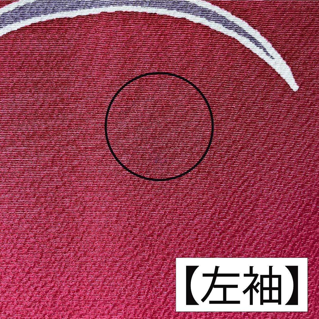 振袖 正絹 Aランク 身丈158.5cm 裄丈67cm 袷 紅赤色(べにあかいろ) 京紅型 吉祥文様 蝶 菖蒲 橘 赤系 1113002283312