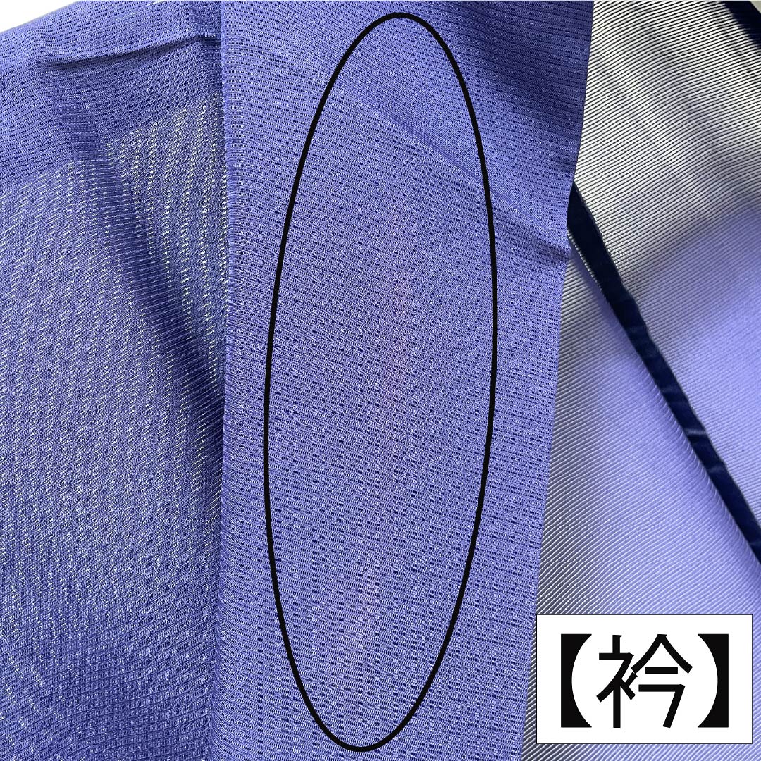 夏物 正絹 訪問着 Aランク 身丈158.5cm 裄丈62.5cm 濃桔梗色(こいききょういろ) 付下げ 秋草模様 蛍 絽 紺系 1132004703318