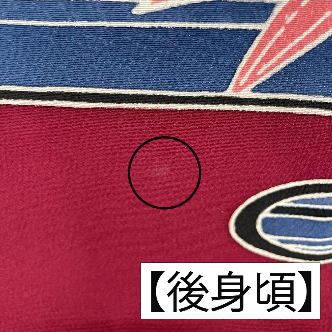 振袖 正絹 Aランク 身丈167cm 裄丈69cm 袷 生成り色(きなりいろ) 型染 吉祥文様 松 菖蒲 白系 1113002273511