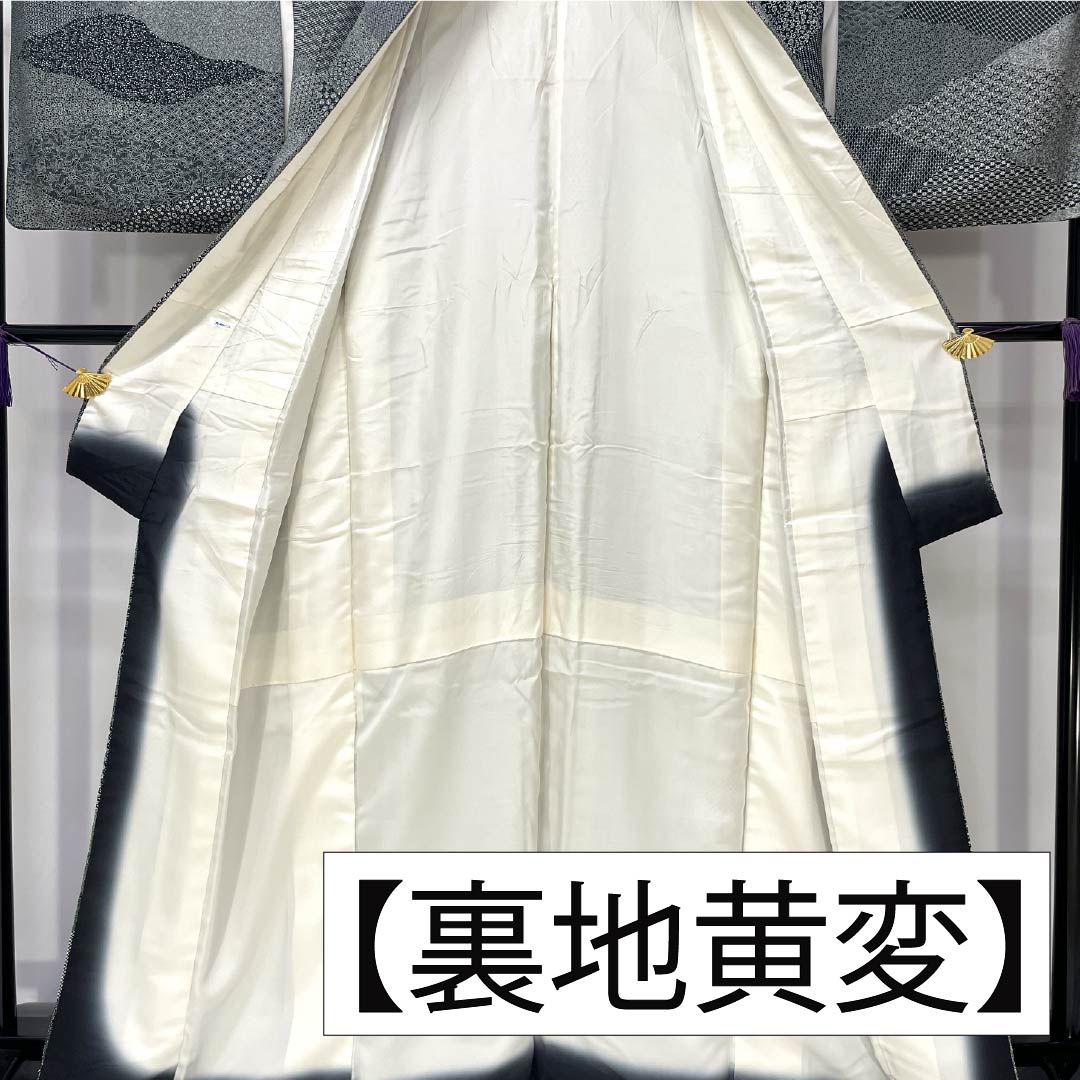 Komon silk S-rank, length 164.5cm, sleeve length 66.5cm, lined, by Kaneda Noboru II, Edo Komon, split pattern, stencil dyeing, monotone, product number 1115007202427