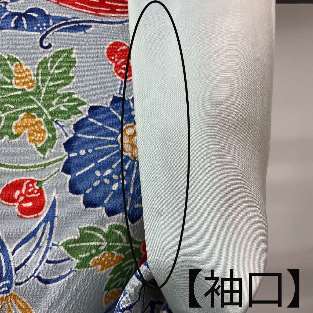 小紋 身丈160cm 裄丈64cm 袷 藍白色 京紅型 蝶 菊 正絹 Aランク 青系 1115003163417