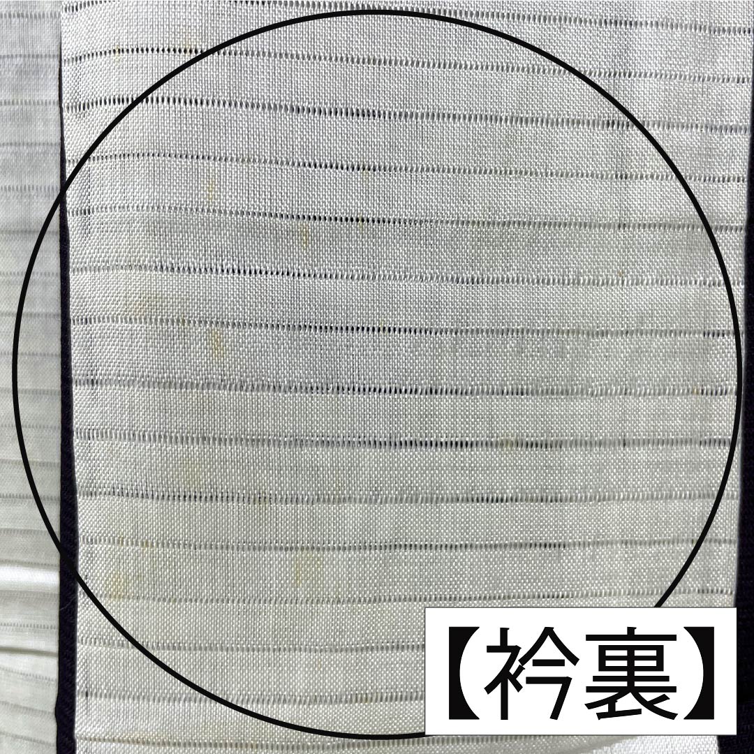 夏物 正絹 色無地 Aランク 身丈160.5cm 裄丈62.5cm 紫烏色(しうしょく) 木の葉 絽 紫系 1132004753420