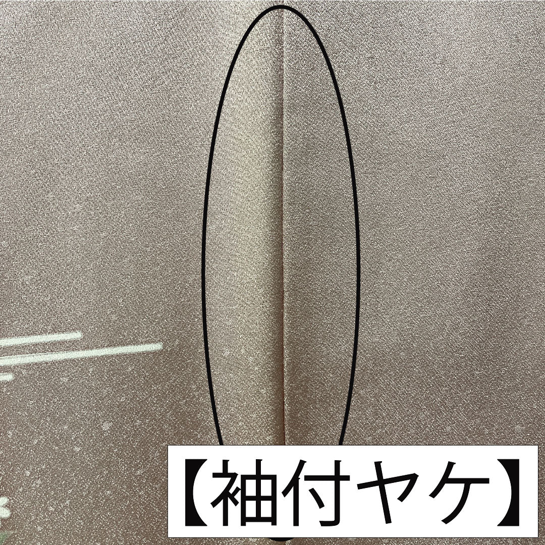 訪問着 正絹 袷 身丈160.5cm 裄丈63cm 白梅色(しらうめいろ) 京友禅 茶屋辻模様 Bランク ピンク系 1112005894413