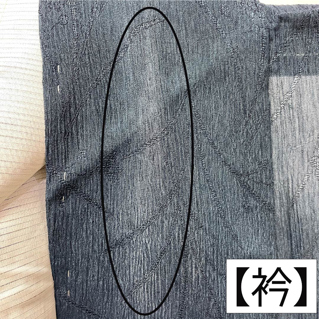 夏物 ポリエステル 色無地 Aランク 身丈160cm 裄丈63.5cm 青墨色(あおずみいろ) 草花模様 縮風 紗 緑系 1132004623419