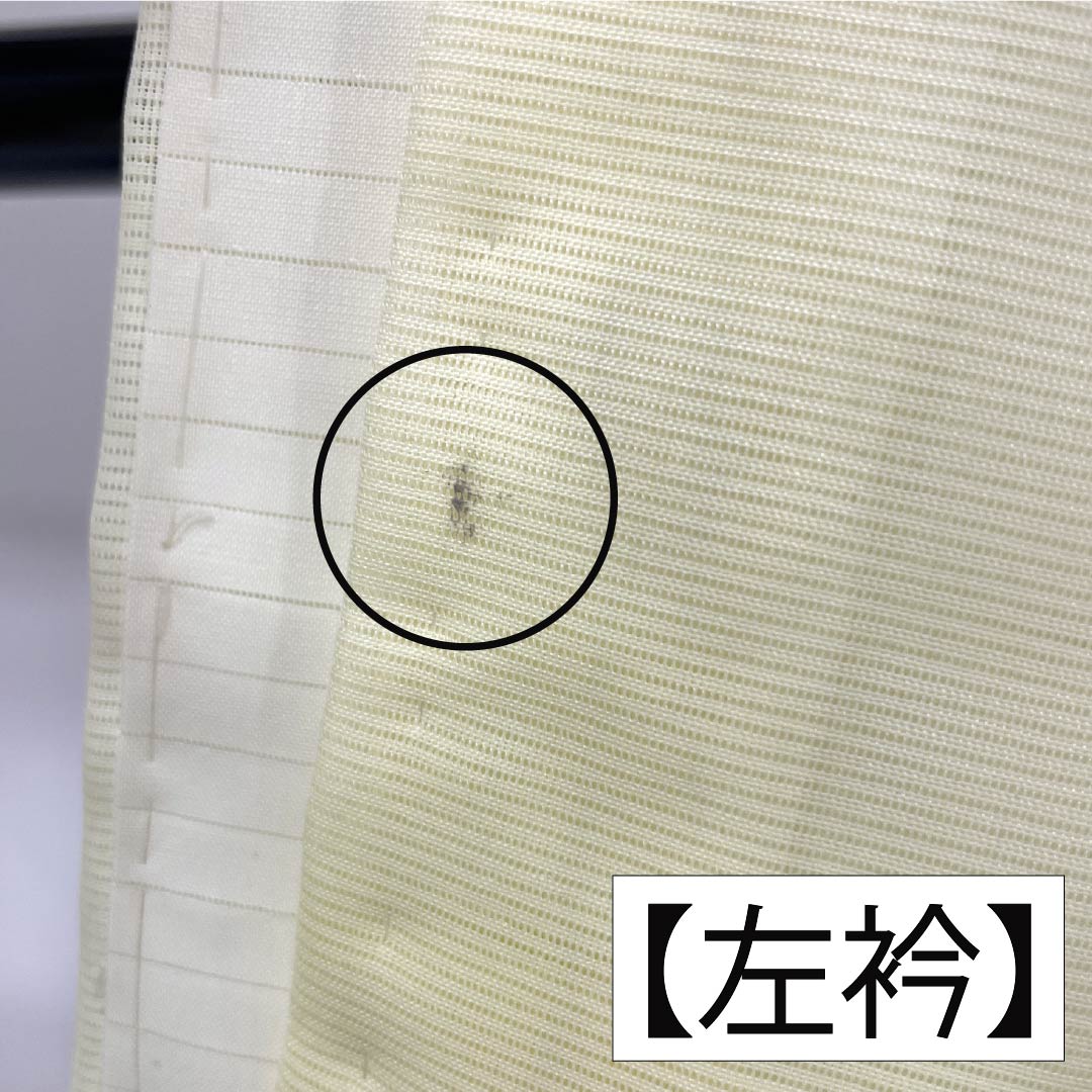 夏物 ポリエステル 訪問着 Aランク 身丈160.5cm 裄丈63cm 白百合色(しらゆりいろ) 竹 付下げ 洗える着物 絽 黄系 1132003453423