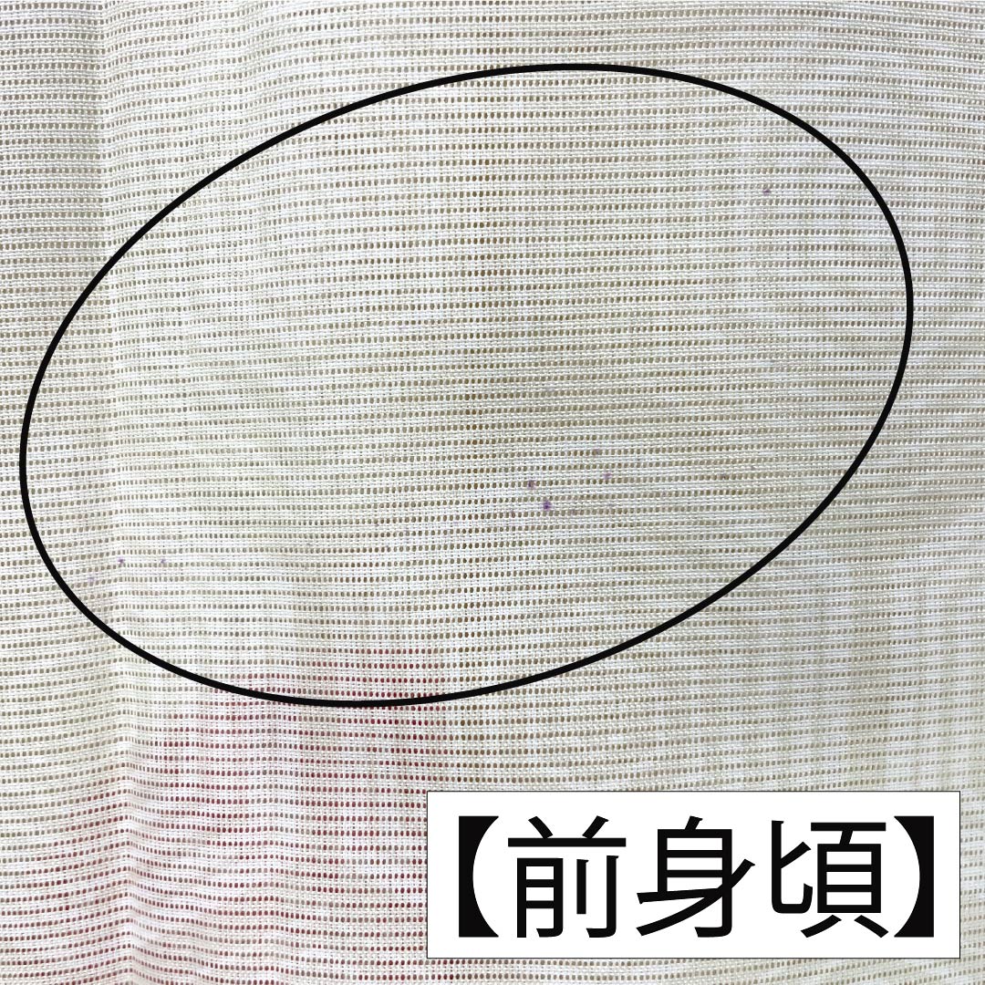 夏物 ポリエステル 小紋 Aランク 身丈158.5cm 裄丈66cm 乳白色(にゅうはくしょく) 蝶 亀甲 絽 クリーム系 1132004543315