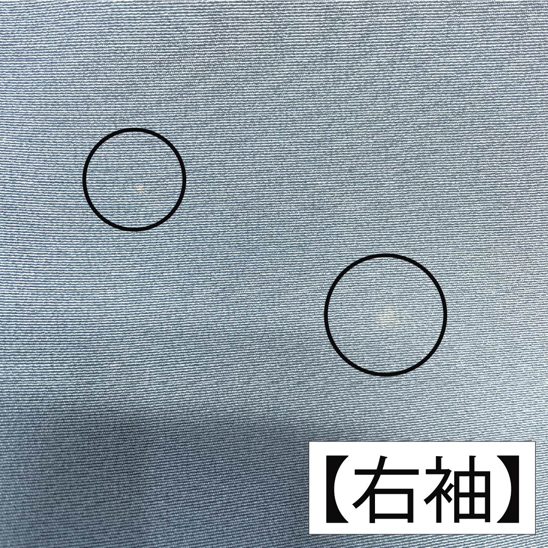 訪問着 正絹 Sランク 袷 身丈155.5cm 裄丈63cm 砧青磁色(きぬたせいじいろ) 加賀友禅 南克治 付下げ 花籠 しつけ糸付き 水色系 1112007312324