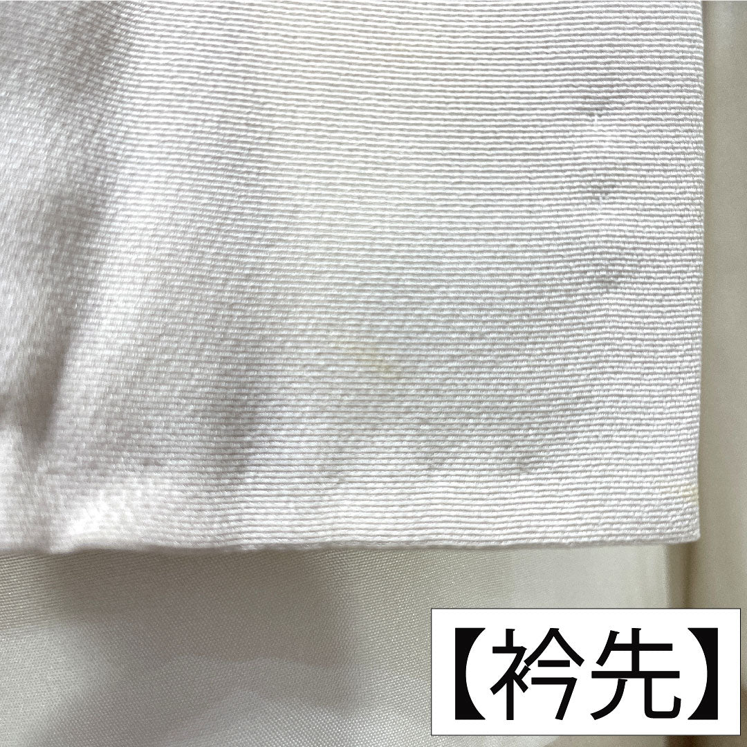 訪問着 正絹 袷 身丈167.5cm 裄丈66.5cm 生成り色(きなりいろ) 京友禅 吉祥文様 付下げ Aランク グレー系 1112005703522