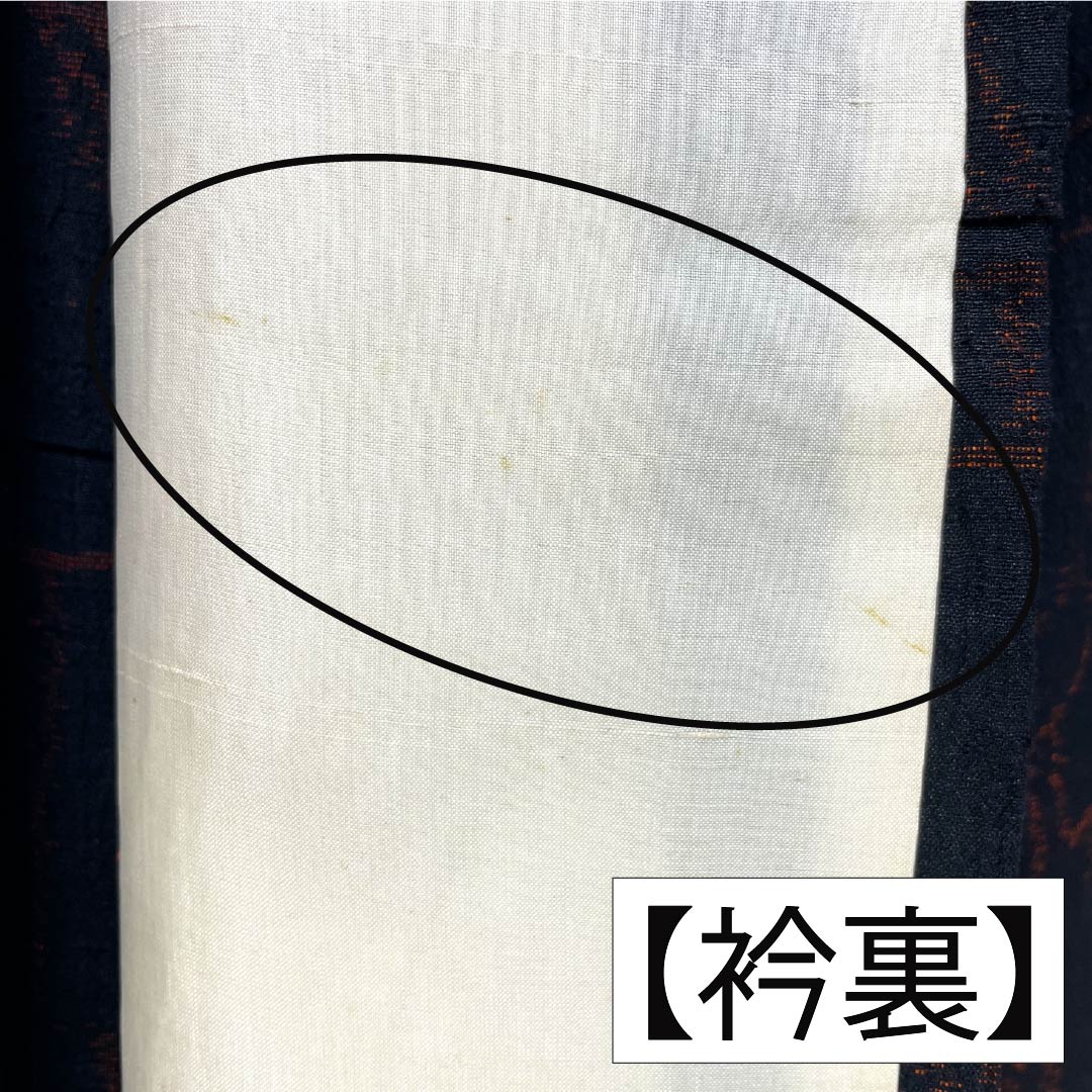 Pure silk tsumugi (pongee) kimono, Grade A, length 161cm, sleeve length 63.5cm, with a floral pattern, black, single layer, product number 1116004403410