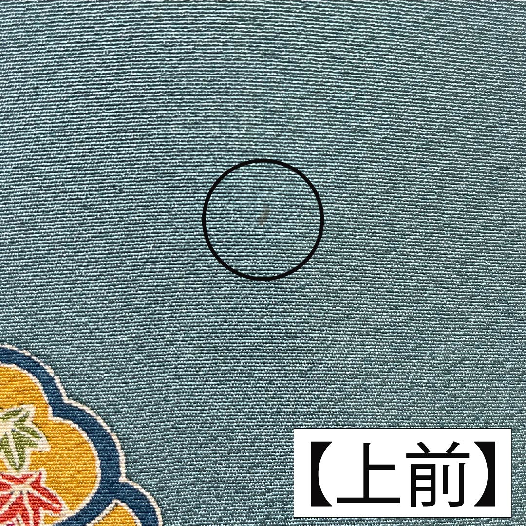 Komon, pure silk, length 152.5cm, sleeve length 64.5cm, lined, Yamaaizuuriiro (Yamaaizuri-iro), stencil dyeing, noshi (Japanese traditional wrapping paper), floral pattern, Scotchgard, B rank, green, 1115005484219