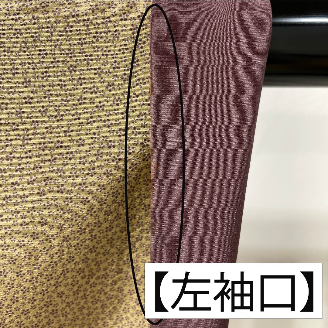 小紋 正絹 Aランク 身丈155.5cm 裄丈66cm 袷 胡桃色(くるみいろ) 小梅 型染 ベージュ系 1115006723325