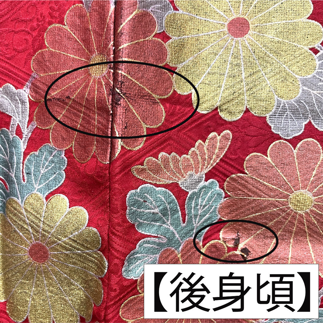 Furisode, pure silk, length 154.5cm, sleeve length 66cm, lined, Turkish red, Kyoto Yuzen, chrysanthemum, A rank, red, 1113001983212