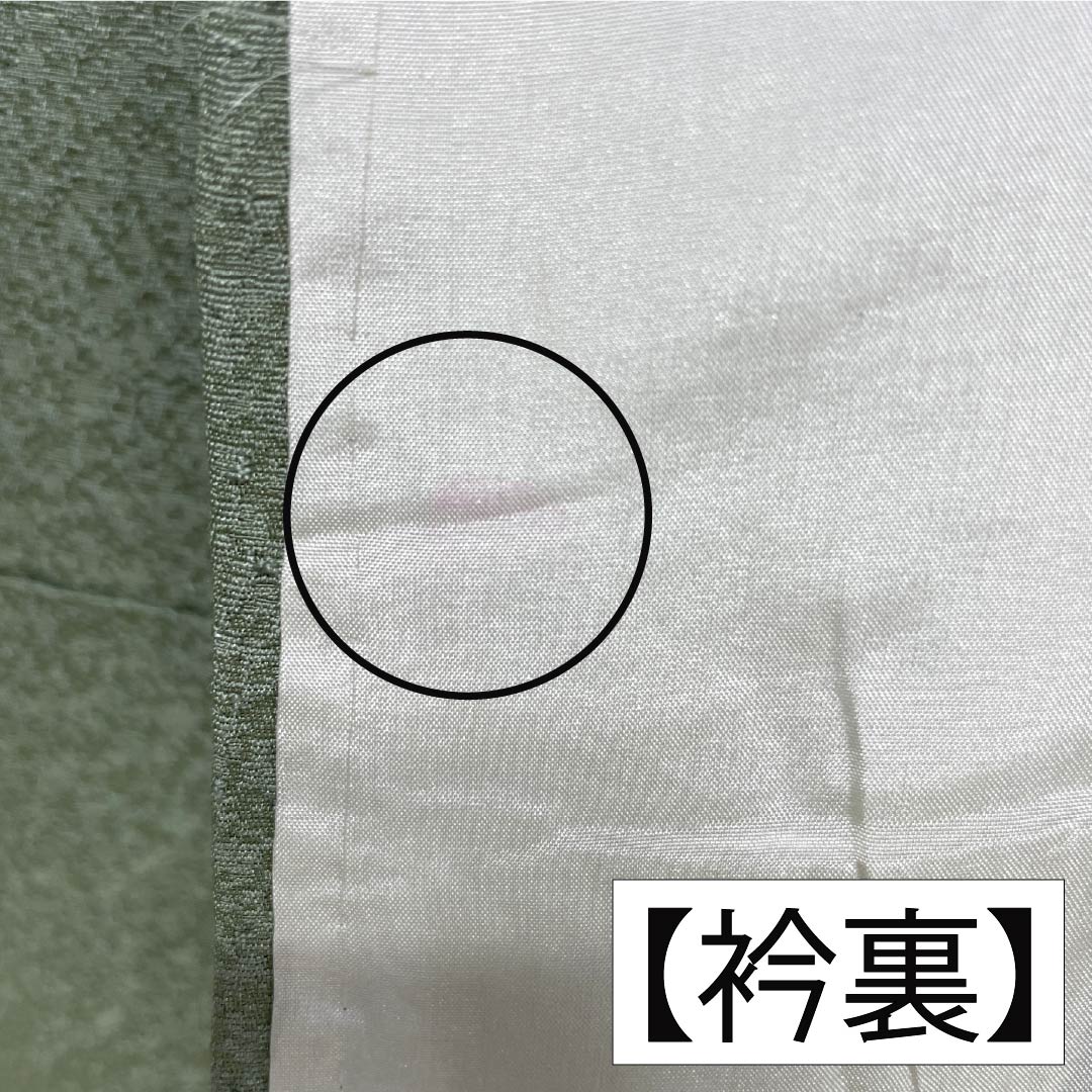 色無地 正絹 Bランク 身丈154cm 裄丈65cm 裏葉色(うらはいろ) 単衣 緑系 1114002374219