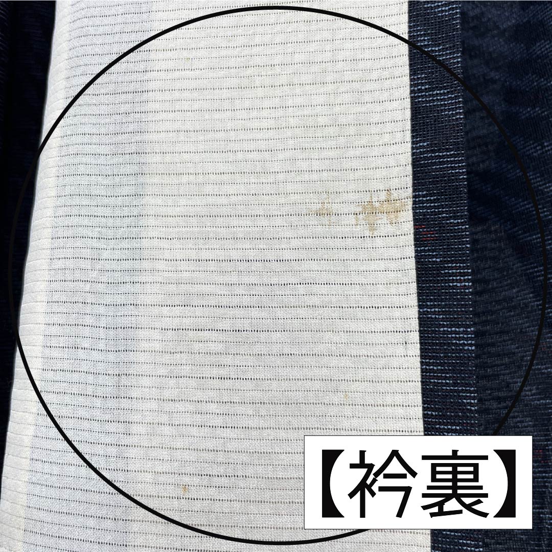 夏物 正絹 紬 Aランク 身丈156cm 裄丈67cm 抽象模様 紗 マルチカラー 1132004323328