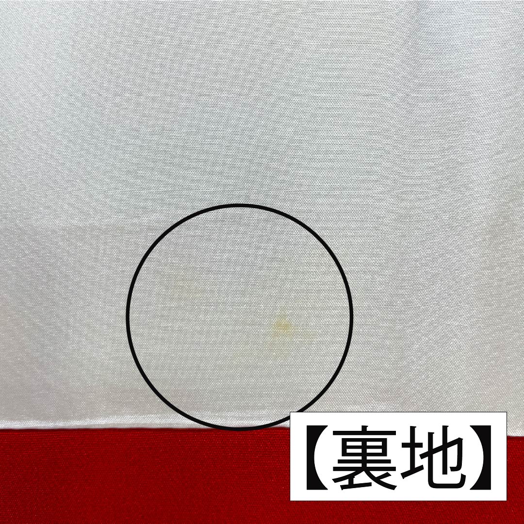 振袖 正絹 Aランク 身丈161cm 裄丈62.5cm 袷 印度藍色(いんどあいいろ) 京友禅 牡丹 紅葉 紺系 1113002833418