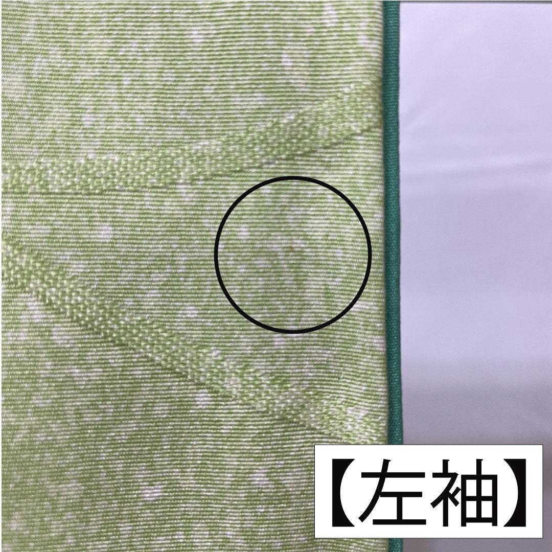 Homongi, pure silk, lined, length 158.5cm, sleeve length 62.5cm, yellowish green, floral pattern, wet-dyed yuzen, A rank, green, 1112005763319