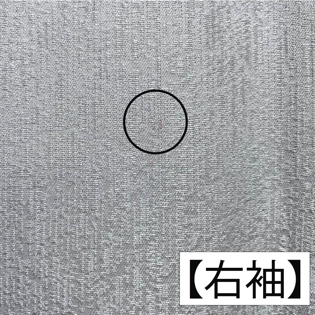 訪問着 正絹 Bランク 袷 身丈168cm 裄丈62cm 白銅色(はくどういろ) 蘇州刺繡 草花 流水 しつけ糸付き グレー系 1112007524522