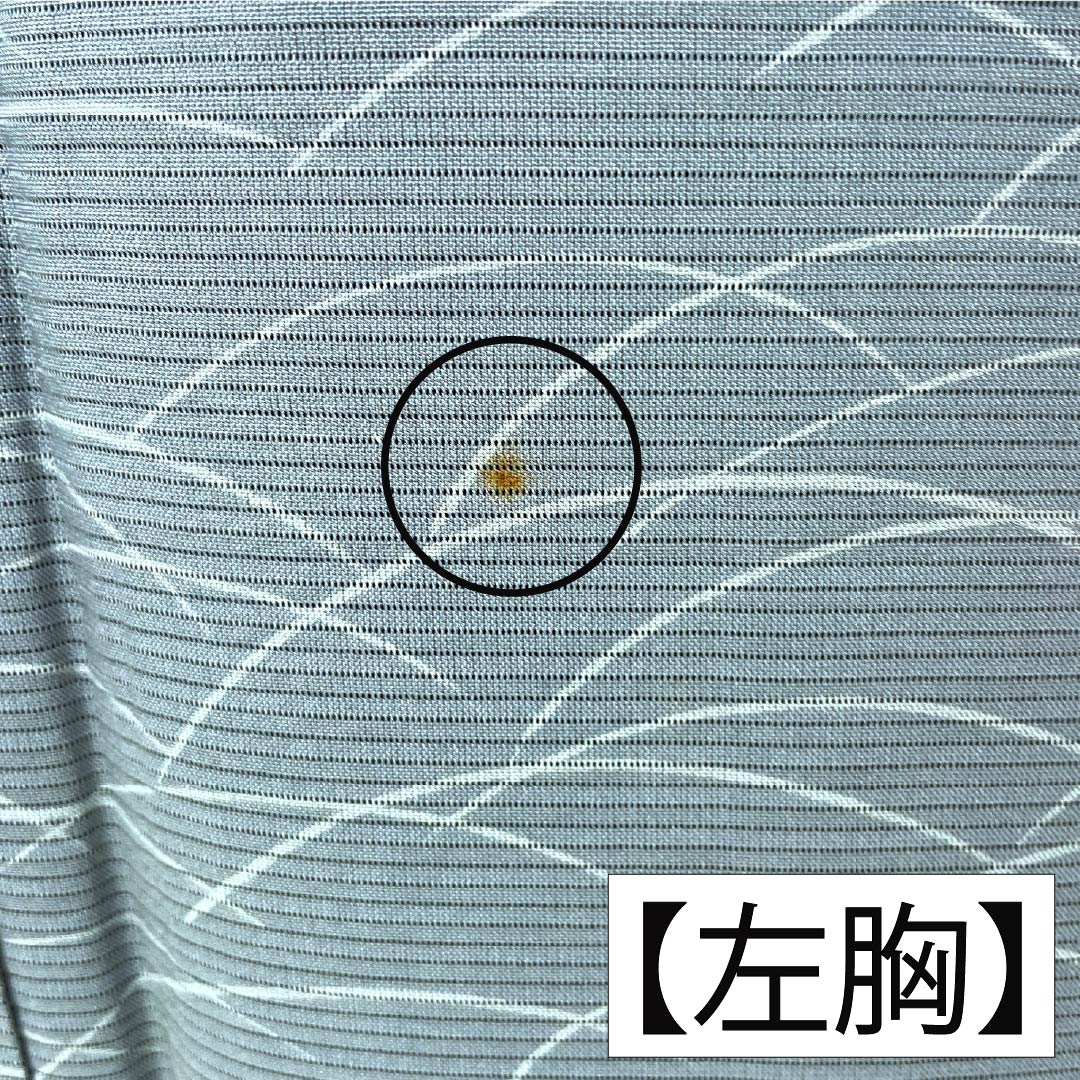 夏物 正絹 小紋 Aランク 身丈157cm 裄丈62cm 浅葱鼠色(あさぎねずいろ) 露芝 絽 緑系 1132004713319
