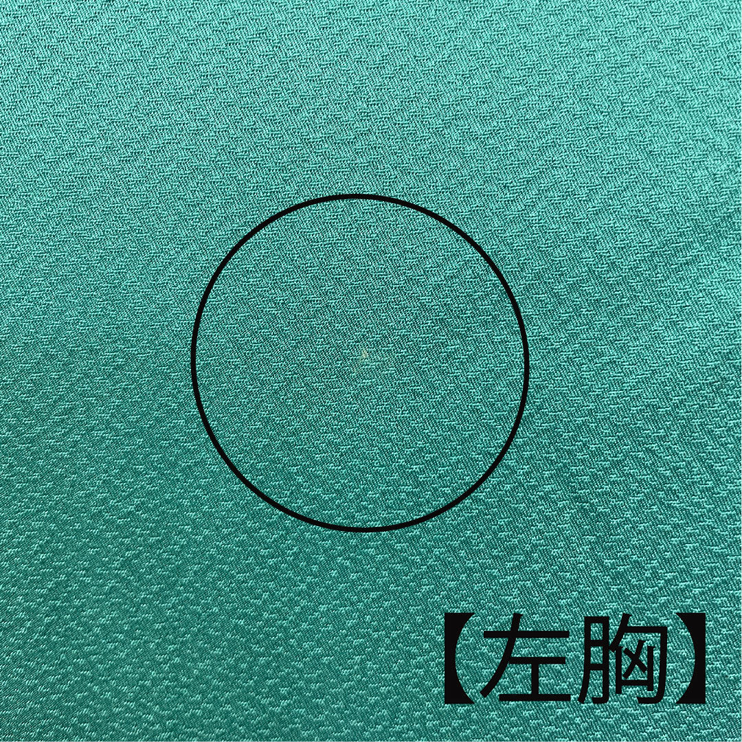 色無地 斉藤三才 三才鳥 身丈152.5cm 裄丈65.5cm 袷 正絹 Aランク 緑系 1114000443219