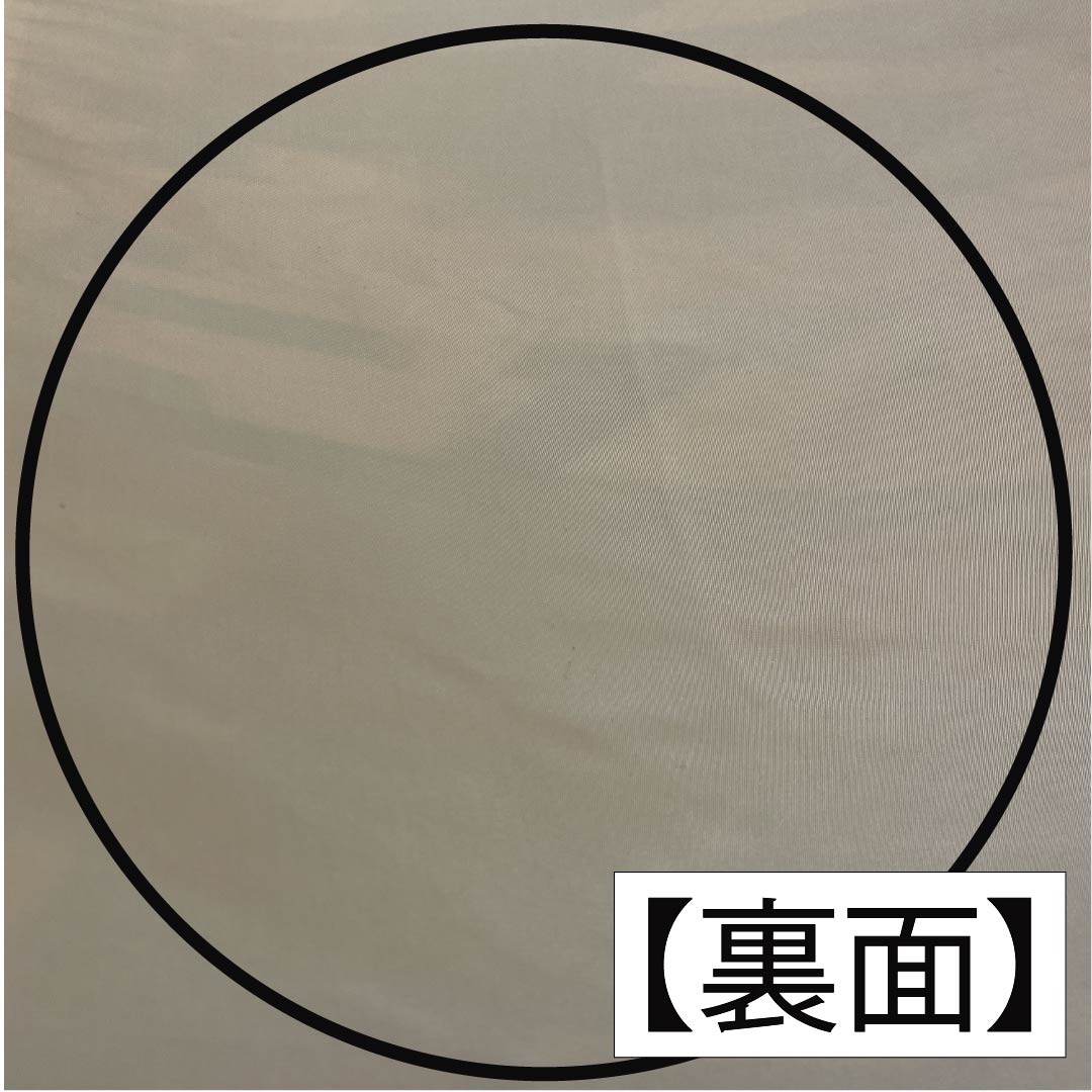 Fukuro Obi (Sash) - Pure Silk - Natural Color (Kinari-iro) - For Furisode - Shirayaen Oba - Fune (Plum) - Obi Length: 436cm - S Rank - Six-way - Formal - Cream Color - 1123013852315
