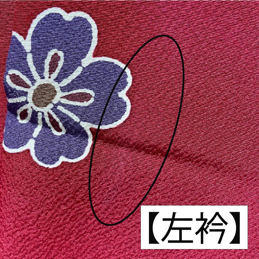 振袖 正絹 Aランク 身丈158.5cm 裄丈67cm 袷 紅赤色(べにあかいろ) 京紅型 吉祥文様 蝶 菖蒲 橘 赤系 1113002283312
