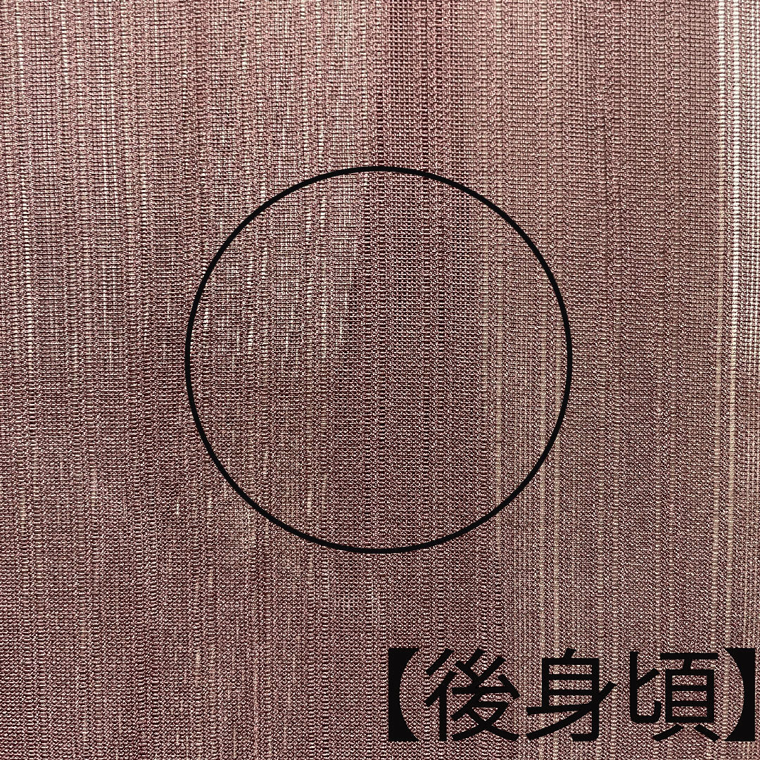 夏物 正絹 色無地 身丈160cm 裄丈60cm 紫土色(しどいろ) 竪絽(たてろ) 絽 Aランク 紫系 1132001093420