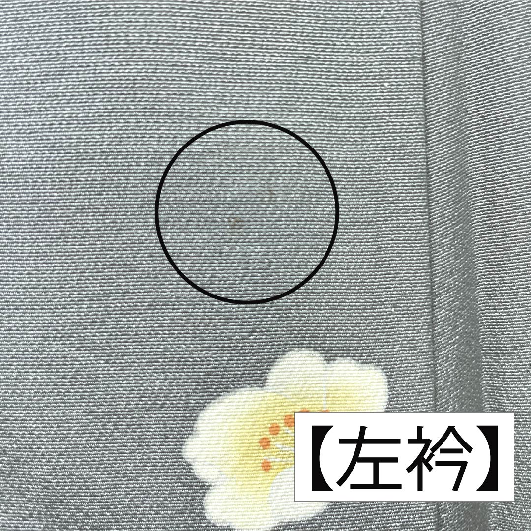 訪問着 正絹 Aランク 袷 身丈160.5cm 裄丈63cm 加賀友禅 草花 作家物 付下げ グレー系 1112006933422