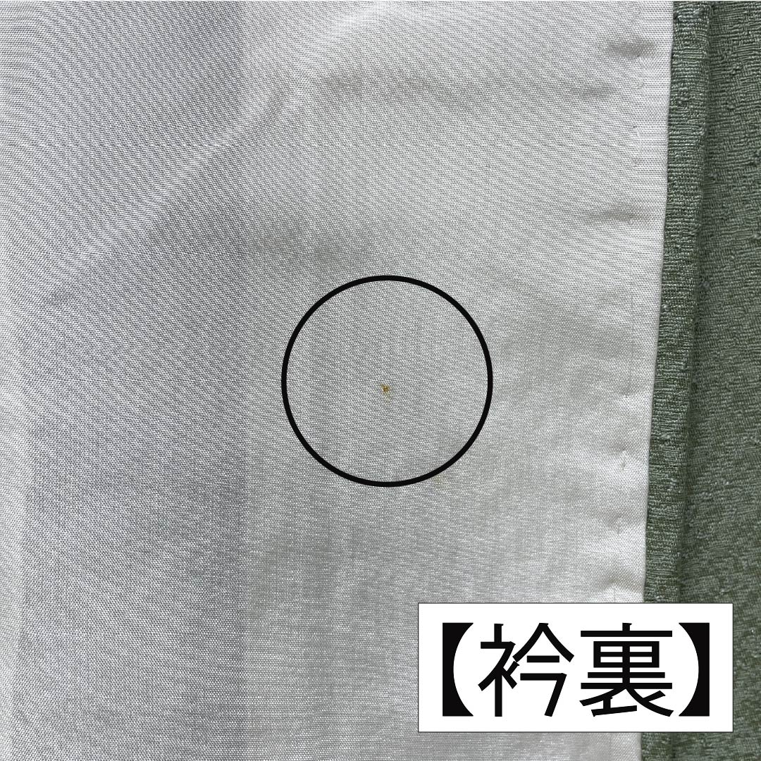 色無地 正絹 Bランク 身丈154cm 裄丈65cm 裏葉色(うらはいろ) 単衣 緑系 1114002374219