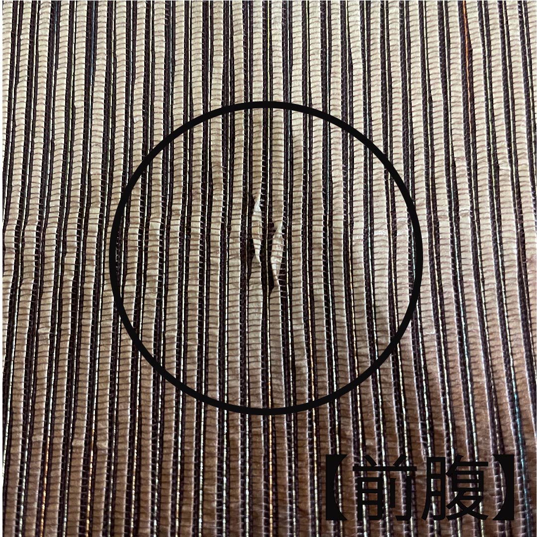 袋帯 鉄黒色(てつぐろいろ) 和紙 帯丈453cm 正絹 Cランク 六通 カジュアル 茶系 1123009235414