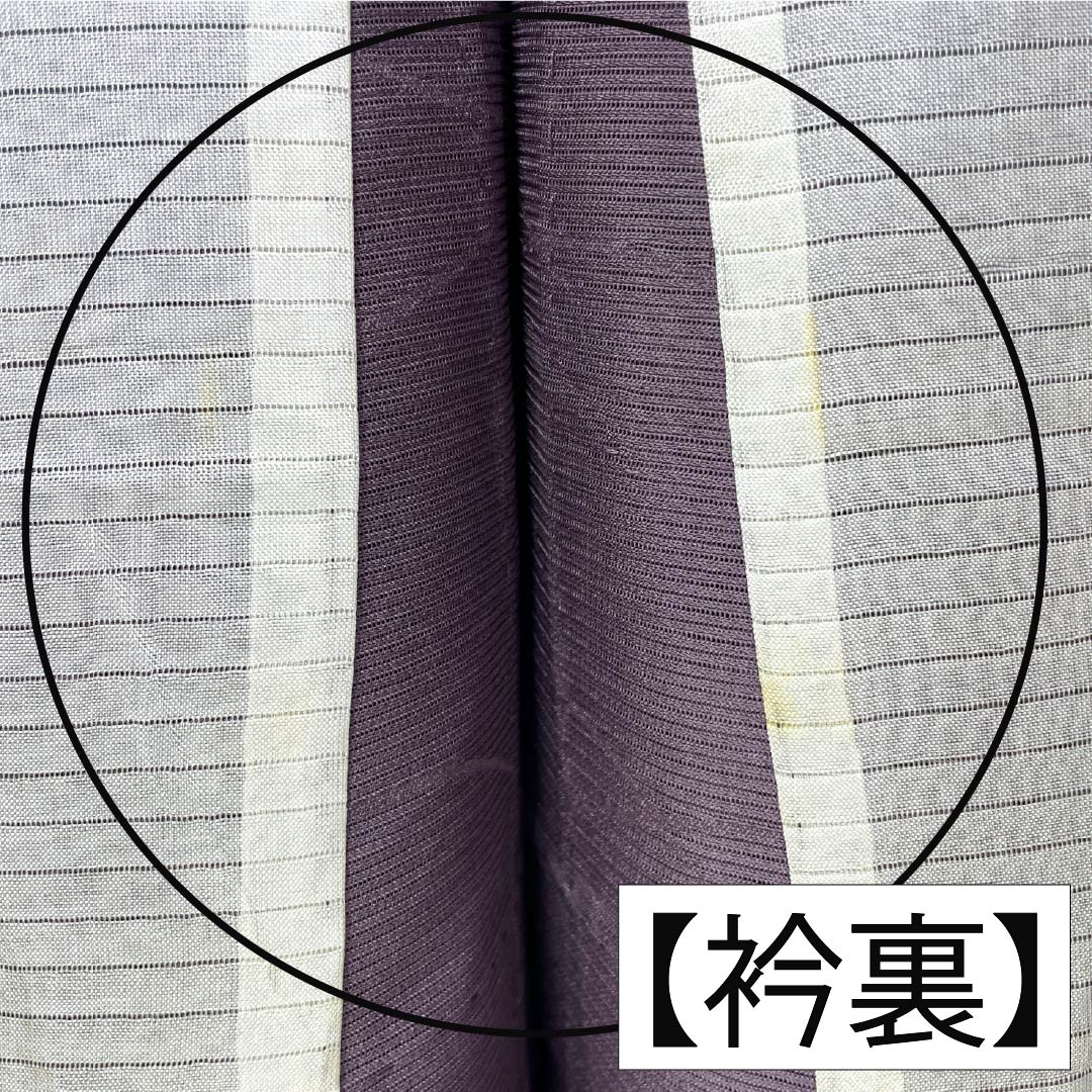 夏物 正絹 色無地 Bランク 身丈154cm 裄丈63cm 中滅紫色(なかのけしむらさきいろ) 露芝 絽 紫系 1132004464220