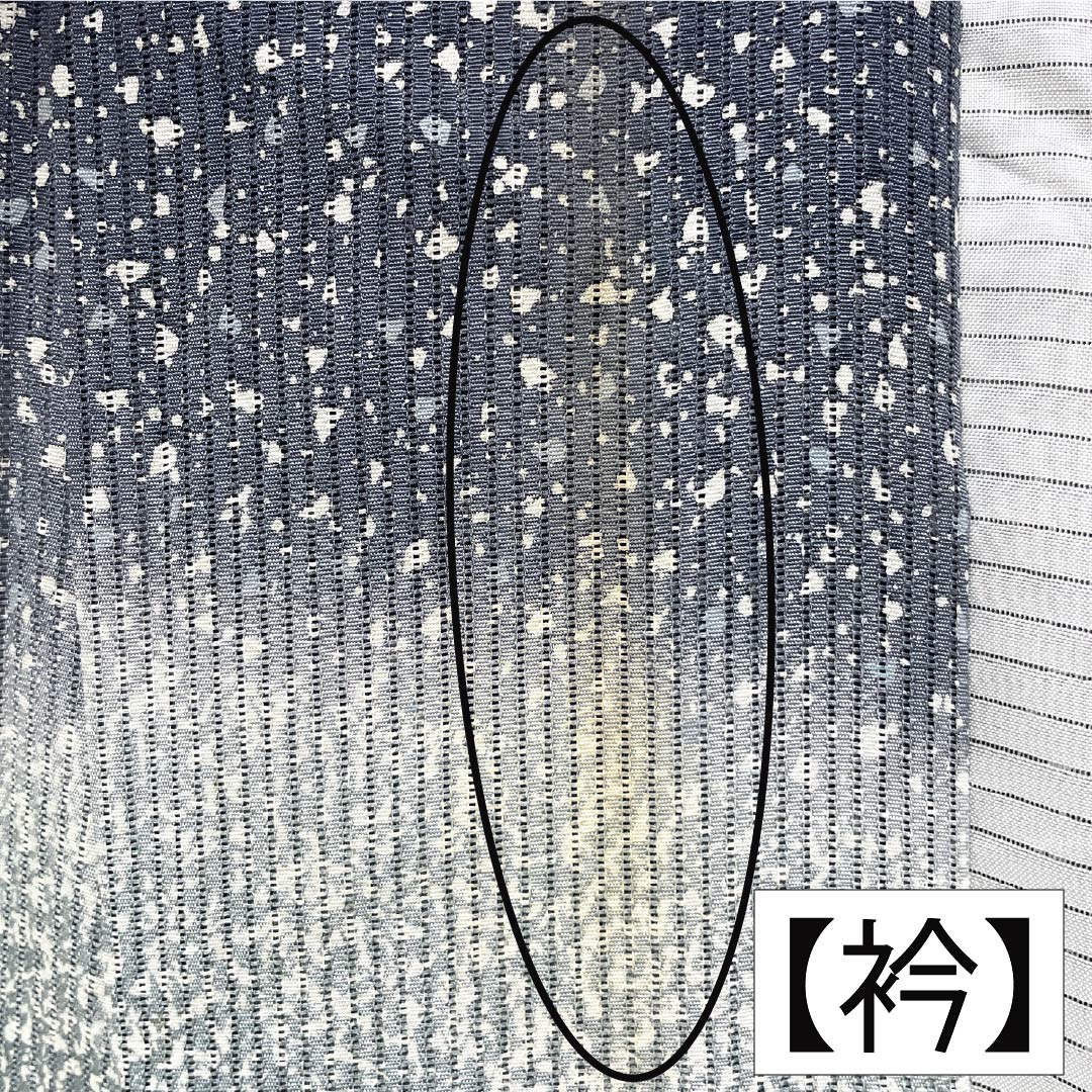 夏物 正絹 訪問着 Aランク 身丈161.5cm 裄丈66cm 浅葱鼠色(あさぎねずいろ) 竪絽 江戸小紋 タタキ染 絽 青系 1132005043417