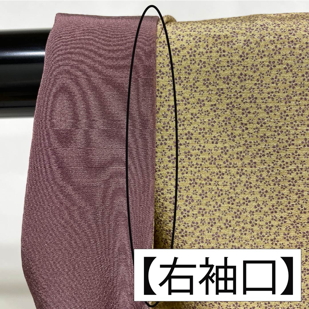 小紋 正絹 Aランク 身丈155.5cm 裄丈66cm 袷 胡桃色(くるみいろ) 小梅 型染 ベージュ系 1115006723325