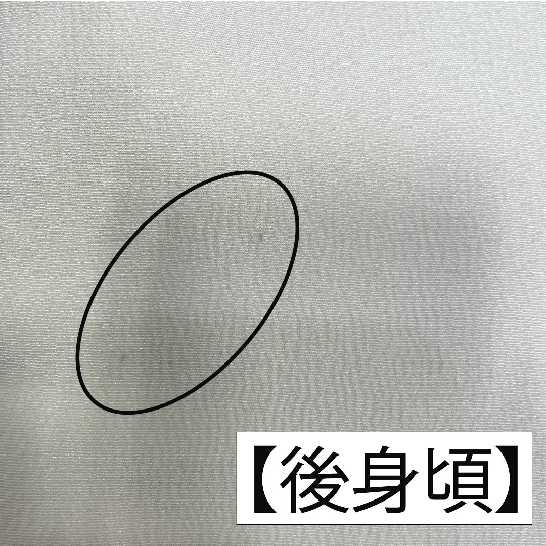 振袖 正絹 Aランク 身丈167cm 裄丈69cm 袷 生成り色(きなりいろ) 型染 吉祥文様 松 菖蒲 白系 1113002273511
