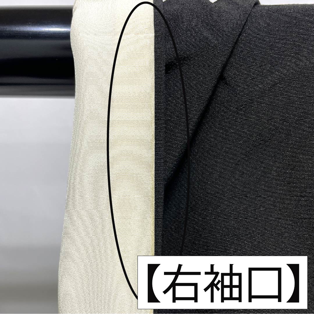 Black Tomesode (Tomesode) - Pure Silk, Grade A, Length 159cm, Sleeve Length 64.5cm, Lined, Kyoto Kaga Yuzen, Five Crests, Embracing Myoga Flower, Artist's Work, Landscape Pattern of Pine and Plum Blossoms, Five Crests, Black, Item Number 1111001963310