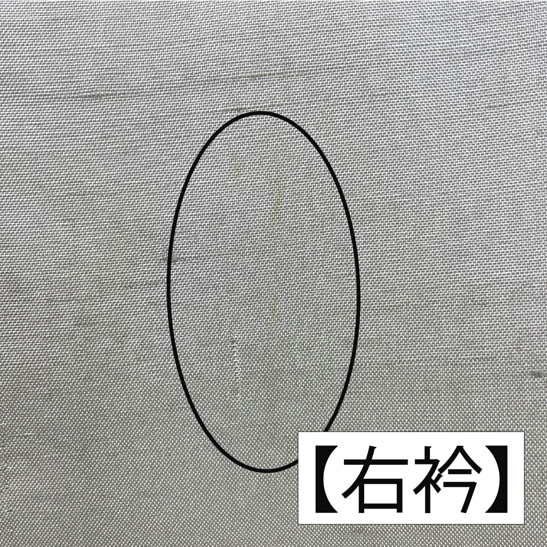 訪問着 正絹 Bランク 袷 身丈161.5cm 裄丈63.5cm 灰白色(かいはくしょく) 牛首紬 抽象模様 純一郎 作家物 しつけ糸付き グレー系 1112006994422