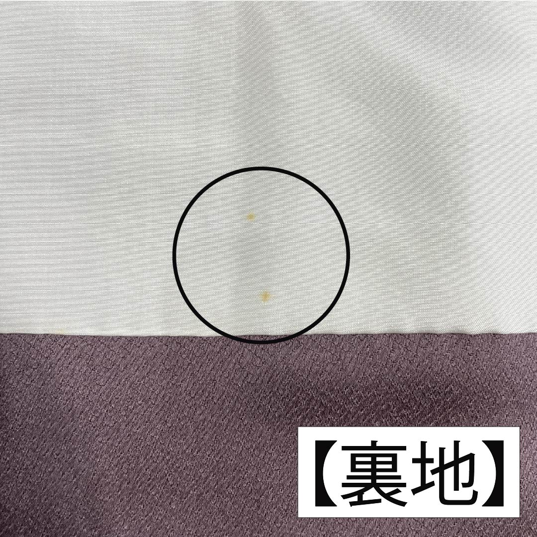 Formal kimono, pure silk, rank B, lined, length 164cm, sleeve to sleeve 64.5cm, reddish gray, Kyo-Yuzen, one crest, plants, purple tones, 1112007044420