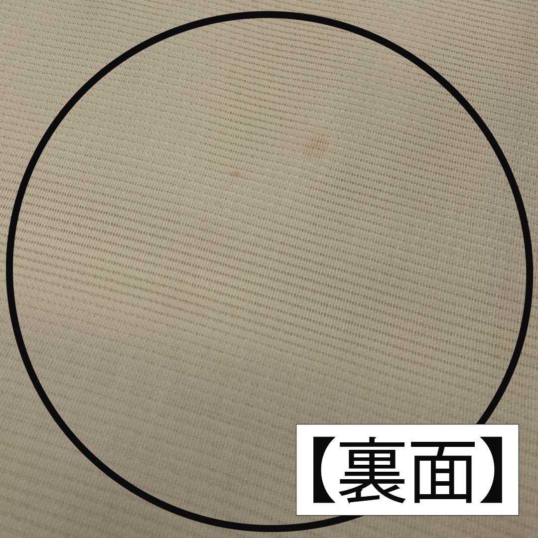 Nagoya Obi, Pure Silk, Off-White, Summer Obi, Camellia Pattern, 362cm Long, Rank B, Pointed Pattern, Semi-Formal, Cream, Item No. 1124008774315, Nagoya Style