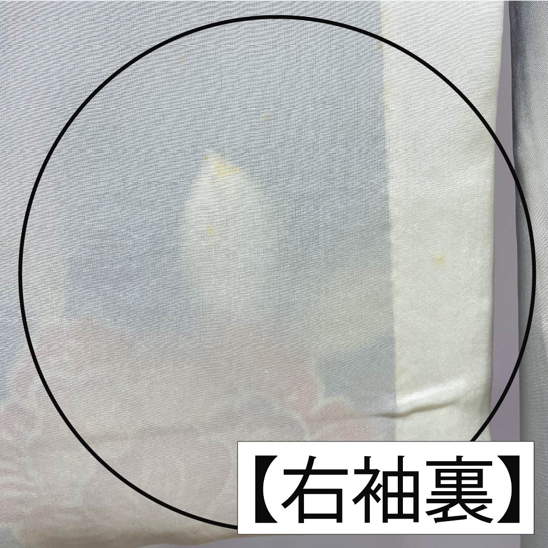訪問着 正絹 Bランク 袷 身丈158cm 裄丈63.5cm 紺瑠璃色(こんるりいろ) 京紅型 吉祥文様 松竹梅 菖蒲 鳥 青系 1112007284317